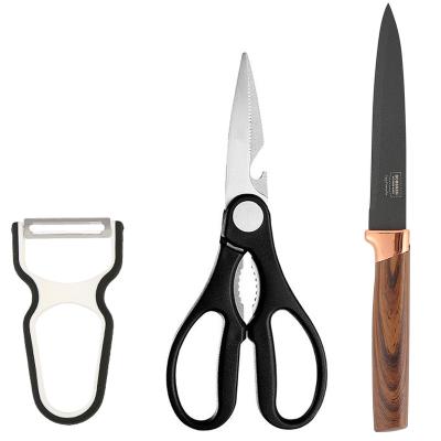 China Sustainable 3 In 1 Home Kitchen Essentials Poultry Shears Sharp Peeler Black Stainless Steel Knives Set Kitchen Tools With Supermarket Package for sale