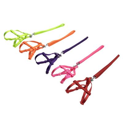 China 2021 Wholesale New Viable Adjustable Cheap Polyester Dog Harness And Small Leash Dog Harness for sale