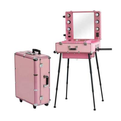 China Adjustable Height Professional Pink Makeup Case With Lights Salon Beauty Trolley for sale