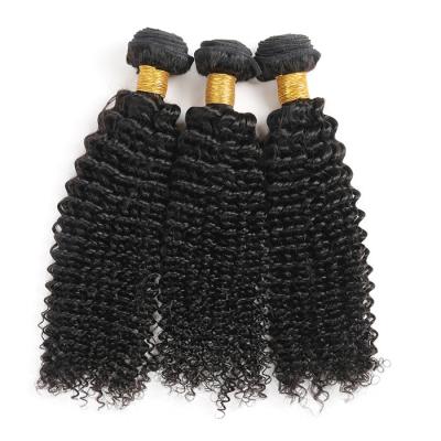 China Curly Curly Good Quality Raw Virgin Indian Hair Curly Curly for sale