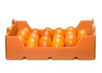 China Ppp-Lösungs-Frucht 4mm geriffelte pp. Kasten verpackend zu verkaufen