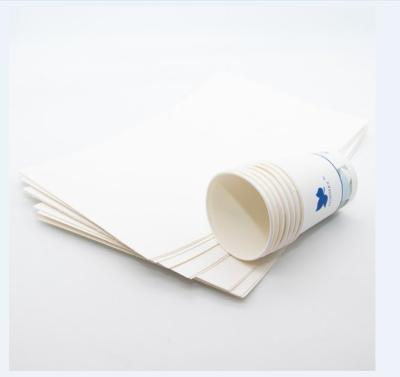 China Single 250gsm large pe chemical maker coated cup paper roll material high volume for sale