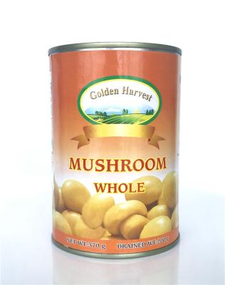 China Whole Canned Mushroom Canned In Brine Canned Mushroom For Pizza for sale