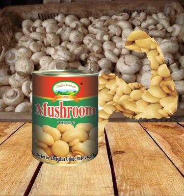 China Canned Customize Whole Canned Chinese Mushroom , Canned Mushroom PNS for sale