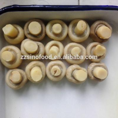 China Canned Whole Mushroom In Canned In Cans New Culture Mushrooms 2840g for sale