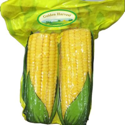 China Canned corn on the cob for sale