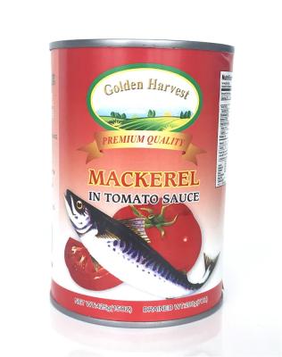 China Canned in Tomato Sauce Canned Fish Canned Mackerel for sale