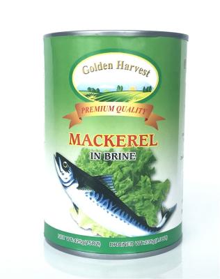 China Canned Canned Mackerels CANNED FOOD in vegetable oil for sale