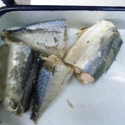 China Canned Canned Seafood Canned Mackerel In Brine /In Oil / In Tomato Sauce 155G, 425G for sale