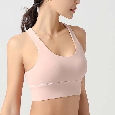 China Padded Women's Swimsuit Female Sexy Bra Breathable For Yoga for sale