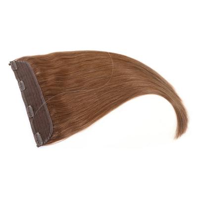 China Fashionable Silky Straight Wave Non Shedding Remy Hair HaloSeam Hair Extensions for sale