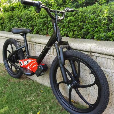 China Steel 36V 5.0AH 350W 20INCH BATTERY ELECTRIC BALANCE REMOVABLE BIKE for sale