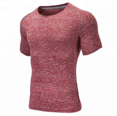 China Men's Fitness Sports Shirts Gym Breathable Seamless T-Shirt for sale