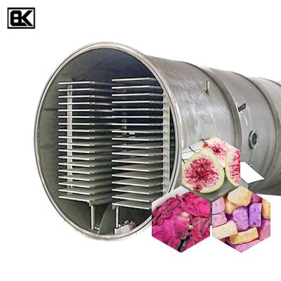 China Medicine Curing 300kg 500kg 1000kg 1500kg 2000kg 3000kg Large Capacity Industry Commercial Freeze Dryer Vacuum Freeze Dryer Machine for sale