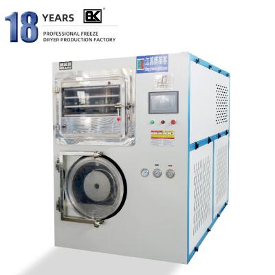 China Commercial Medicine Processing Laboratory Vacuum Small Fruit Pet Food Freeze Dryer Machine Price 5kgs10kgs 20kgs for sale