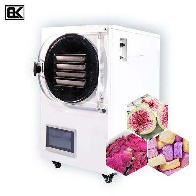 China Medicine Curing Banana Powder Dragon Fruit Mangosteen Mini Freeze Dried Freeze Dryer Professional Manufacturer for Home for sale