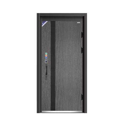 China Anti-Theft Factory Direct Sale Modern Design Security Entrance Door Steel Main Entrance Door With Favorable Price for sale