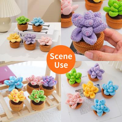 China Gift Kids Toys New Crochet DIY Kit Set DIY Handwoven Succulent Kit Pendant Potting Ornament for sale