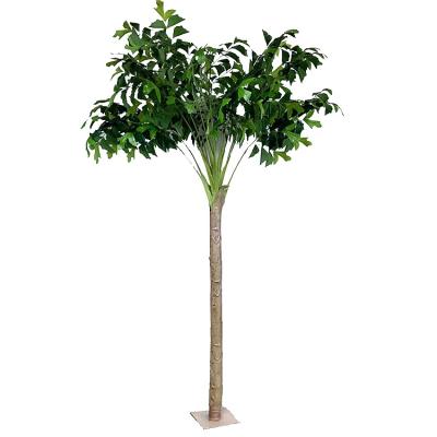 China New Style Plants HX Fishtail Palm Internal Decorative Artificial Caryota Ochlandra Fake Waterproof Artificial Palm High Quality for sale