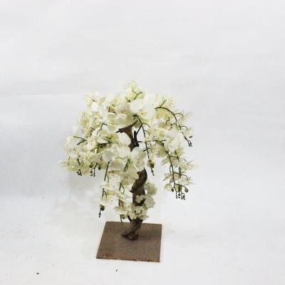 China Who respects the environment. Environmental White Wisteria Phalaenopsis Cherry Champagne Rose Tree Flower Centerpiece Solid Wood Customized Sizes On Sale for sale