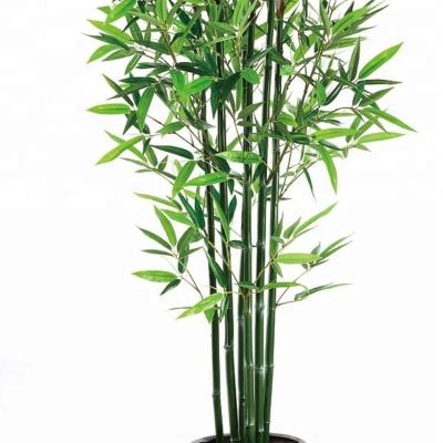 China Eco-Friendly Ornamental Artificial Bamboo Fence PEVA Seedling 2m Tall for sale