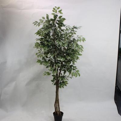 China 6ft Realistic Ficus Artificial Trees For Indoor Or Outdoor Ficus Tree Potted Plant, Fake Simulated Plastic Artificial Banyan Tree for sale