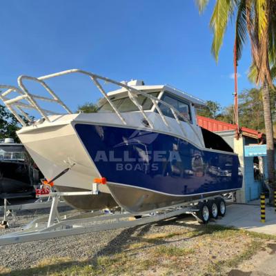 China Fishing Leisure Crusing 8.8m Twin Hull Ricver Safe And Durable Offshore Aluminum Alloy Fishing Crusing Catamaran for sale