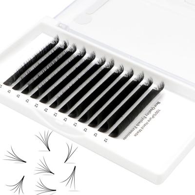 China 0.04 0.05 0.06 Thickness Delicate Eyelash Extensions, Different Eyelash Extension Packaging Box Lashes for sale