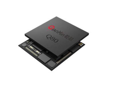 China Q80X Soporte para el chip Iris 45mm X 45mm Phaselris 2.0 Algoritmo de reconocimiento en venta