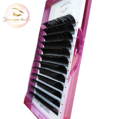 China Long natural black color and 0.10, 0.15, 0.20 thickness ellipse flat strands, eyelash extension for sale