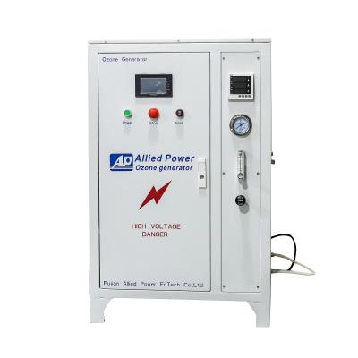 China Allied Factory Power Factory Price Swimming Pool Drinking Water Treatment Purifier Ozone Machine Ozone Generator For Water for sale