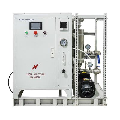 China Hotels Ozonator Water Machine Produce 6ppm Ozone Water For Bottling Water Plant for sale