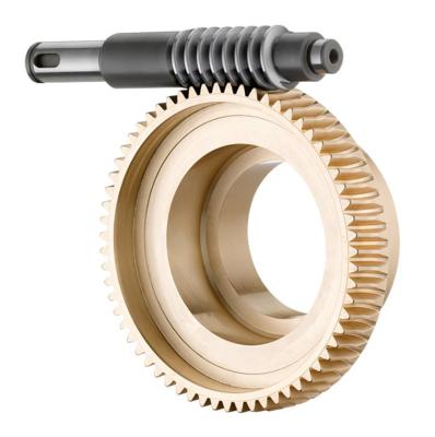 China Automobile factory manufacture worm gears and non-standard custom worm wheel for sale