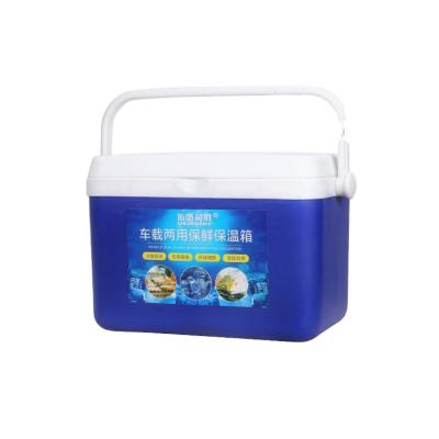 China Mini Cooler Box 4L Fast Factory Delivery Insulated Logo Cooler Plastic Handle Carry Custom Cooler for sale