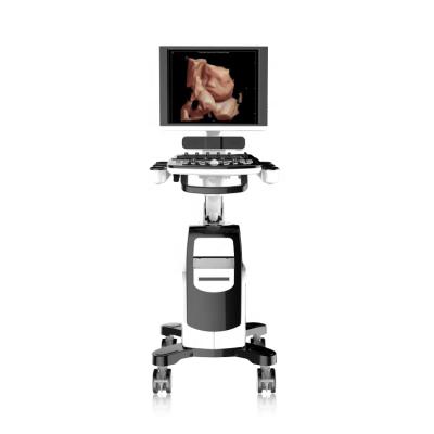 China Plastic Portable Ultrasound Machine-Machine With 19 Inch High Resolution LCD Monitor for sale