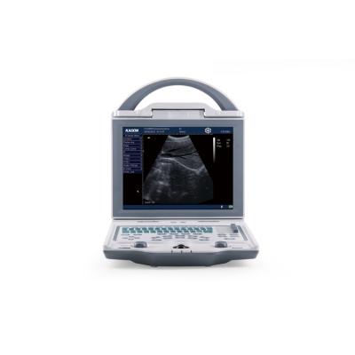 China 10.4 Inch High Resolution Color Led Display Acrylic Hot Selling Human Ultrasound Scanner Price for sale