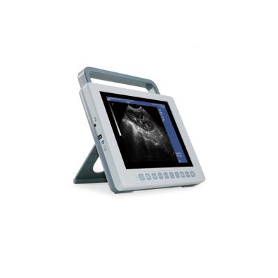 China Factory Supply Powerful Acrylic Software Package Veterinary Animal Ultrasound Scanner for sale