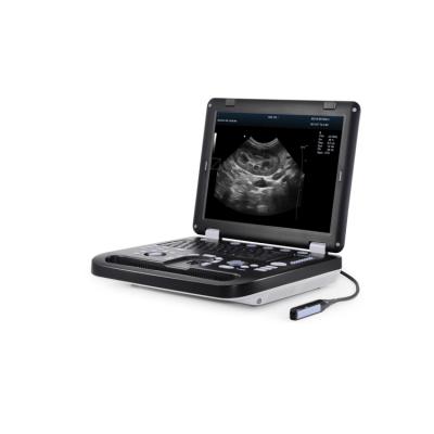 China Factory Supply Acrylic Color Veterinary Doppler Ultrasound Scanner for sale