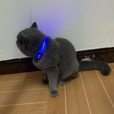 China Viable Wholesale Safety USB Rechargeable Collar Flashing Night Lighted Pet LED Glowing Light Dog Cat Collars for sale