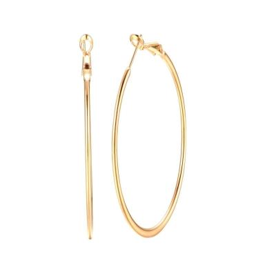 China TRENDY 14K Yellow Gold Large Silver Hoop Earrings For Women Girls Sensitive Ears Shape Round Hoop Huggie Hoops Hypoallergenic for sale