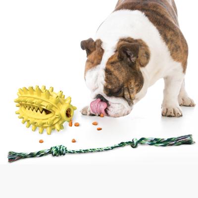 China Dogs Nature Pet Toy Training Teeth Cleaning Dog Chewing Pet Toy Dog Chew Toothbrush Toy for sale