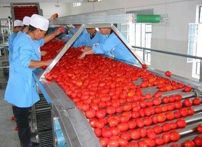 China SUS304 Fruit Juice Processing Line Turnkey Project For Tomato Apple Strawberry for sale