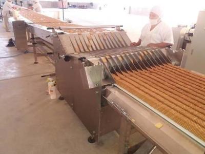 China Hand / Soft Biscuit Production Line Automatic Animal Shaped Multifunction for sale