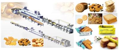 China Línea de transformación suave y dura de la galleta, galleta automática comercial que hace la máquina en venta