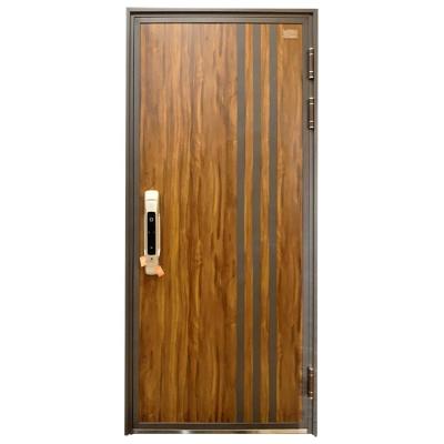 China New Style Steel Security Entry Door Modern Steel Residential Door Fire Safety Rated Door for sale