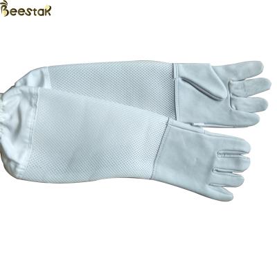 China Bee Farm White Ventilated Beekeeping Gloves Leather Apicultura Sheepskin Protective Device For Beekeeping for sale