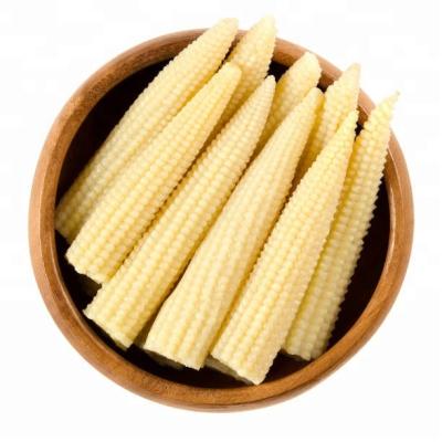 China canned baby corn for sale