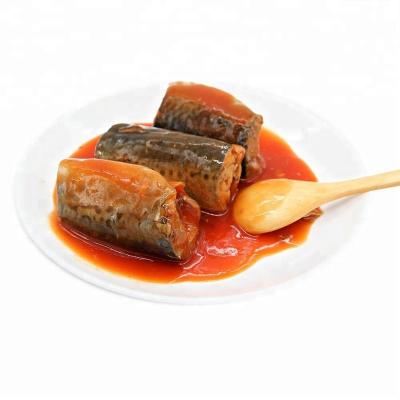 China Canned canned mackerel in tomato sacue 425g for sale