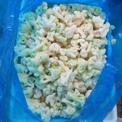 China Hot room of new culture FROZEN cauliflower florets for sale