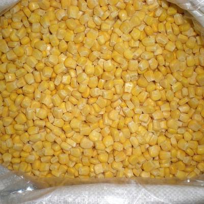 China IQF FROZEN Frozen Corn for sale